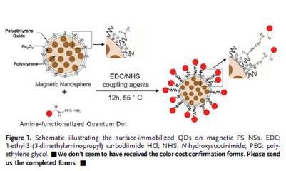 科學網&mdash;可同時進行癌癥檢測與熱療的多功能納米球